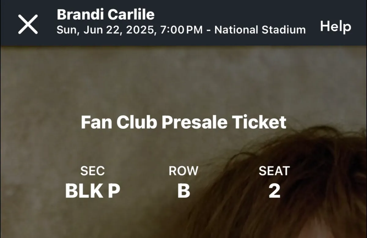 Brandi Carlile - Image 3