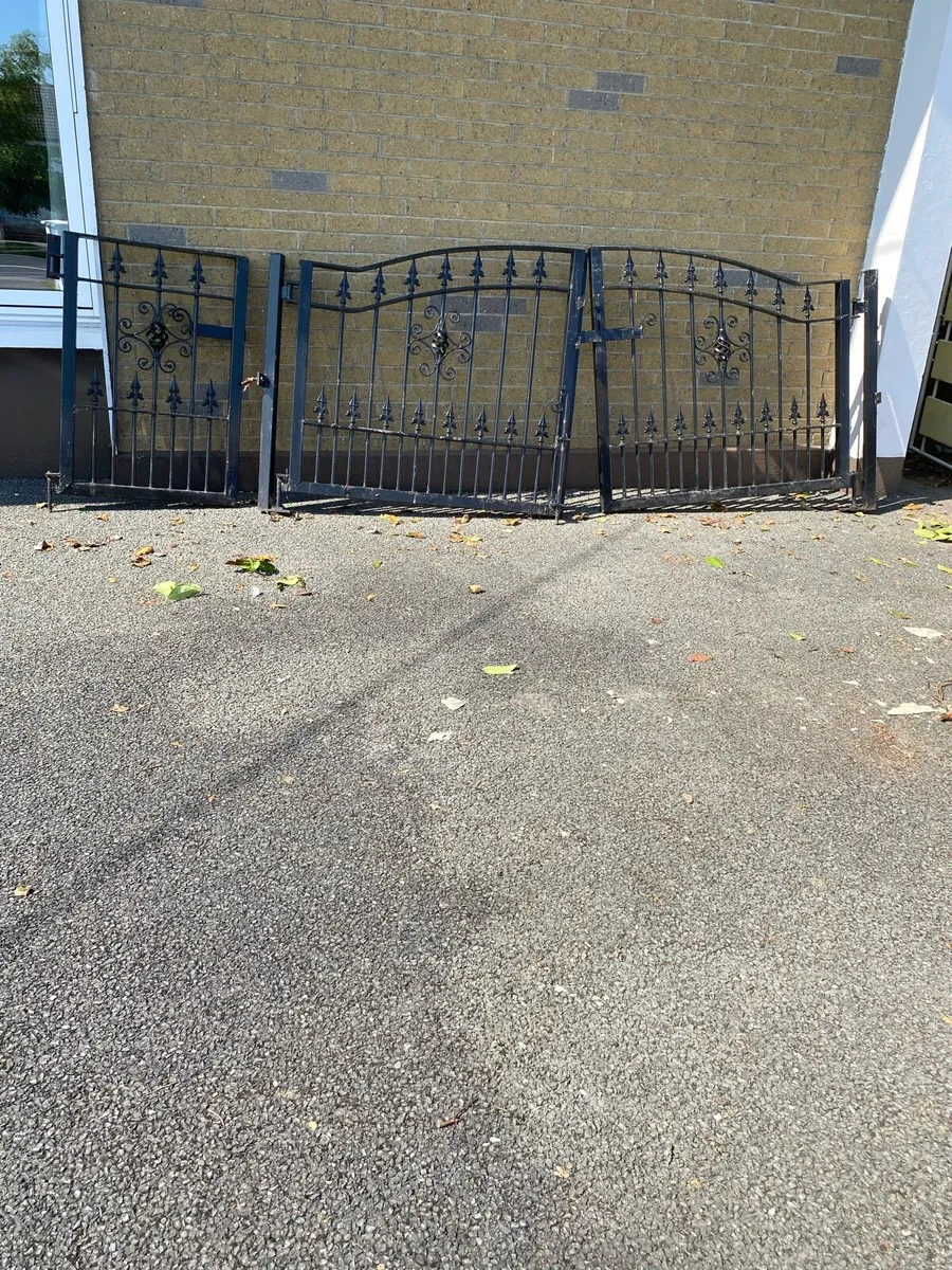 Home Entrance Black Steel Gates - Image 1