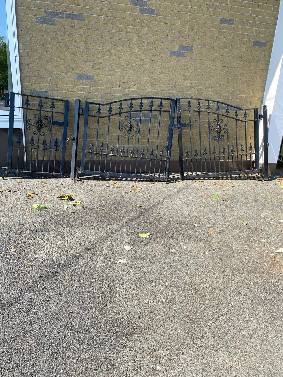 Home Entrance Black Steel Gates - Image 2