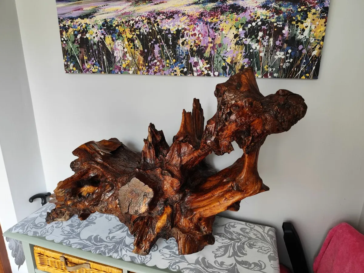 Bog Oak (2 pieces) - Image 1
