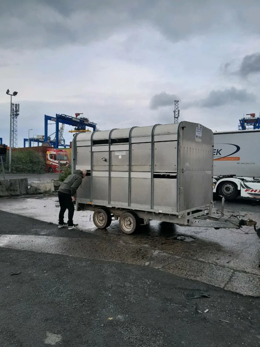 Trailer - Image 2