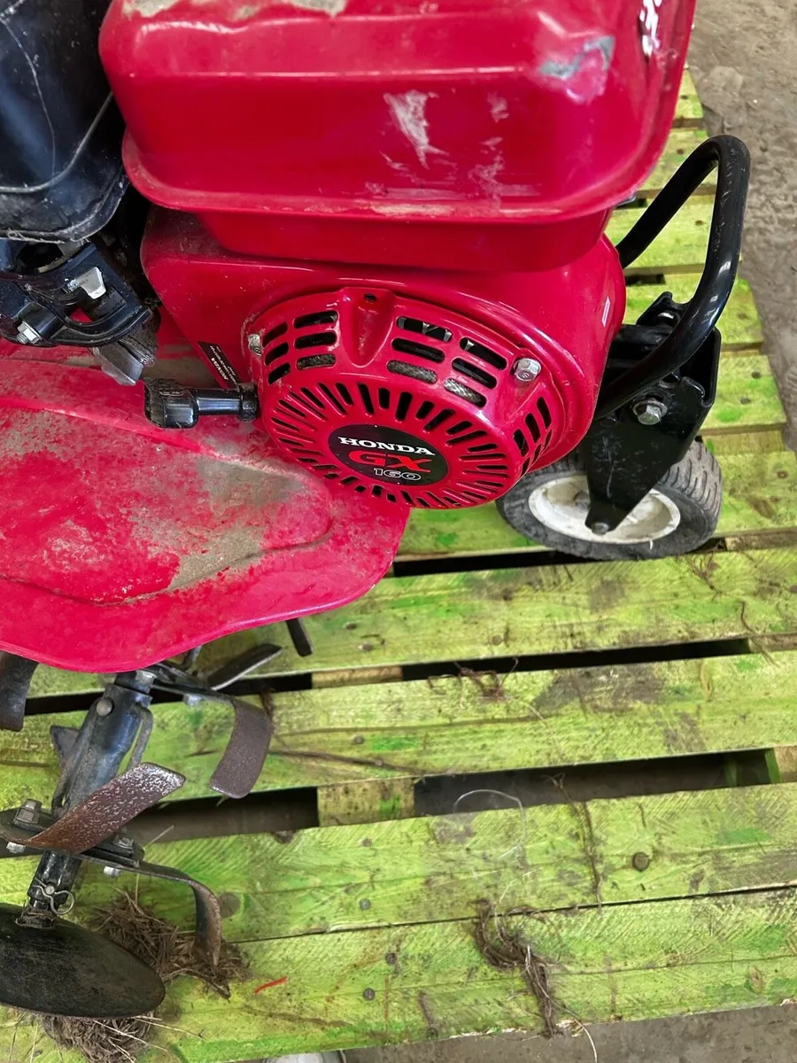 Honda Tiller - Image 4