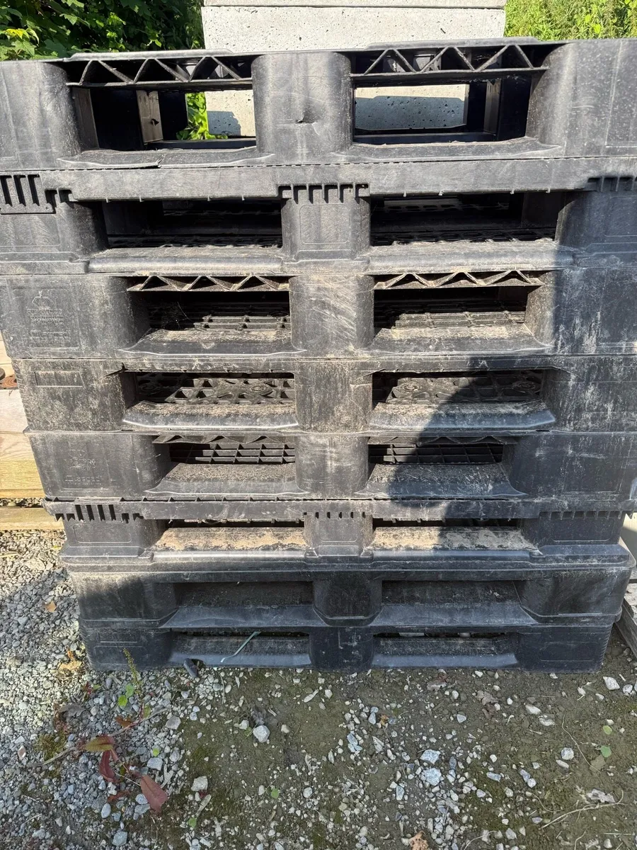 Plastic pallets - Image 1