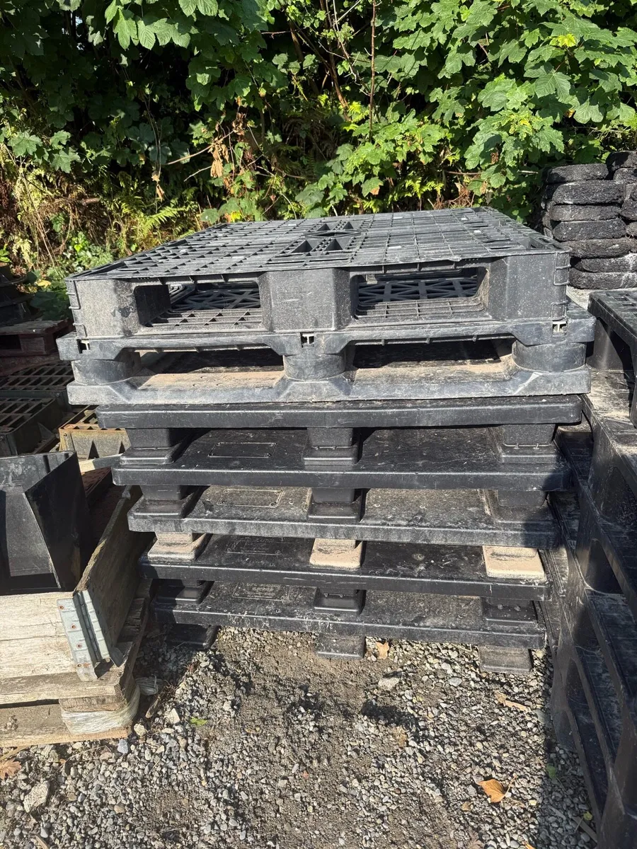 Plastic pallets - Image 3