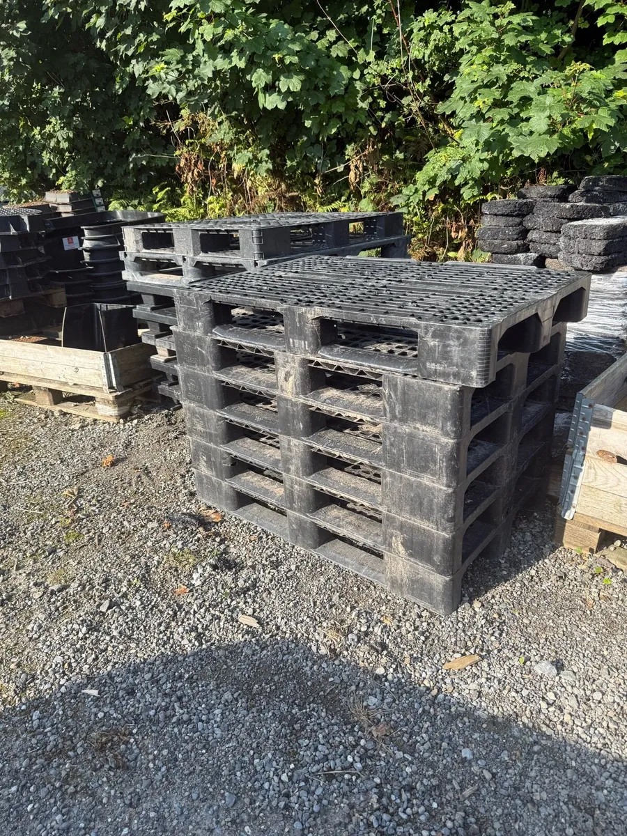 Plastic pallets - Image 4