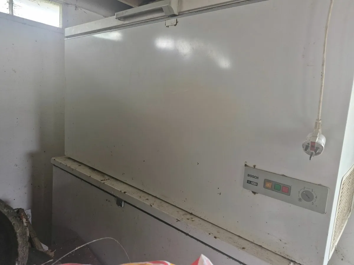 Bosch freezer - Image 1