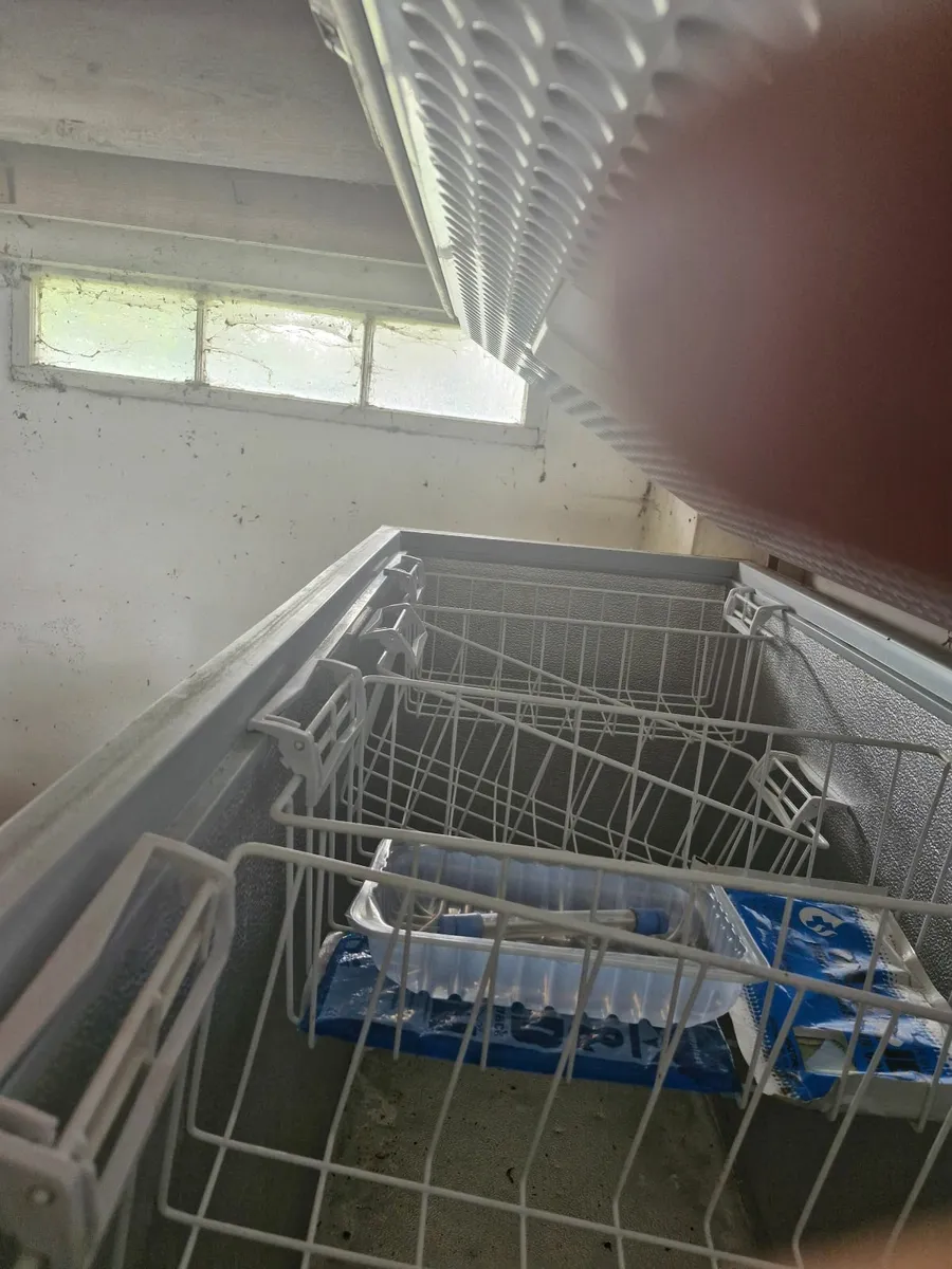 Bosch freezer - Image 2