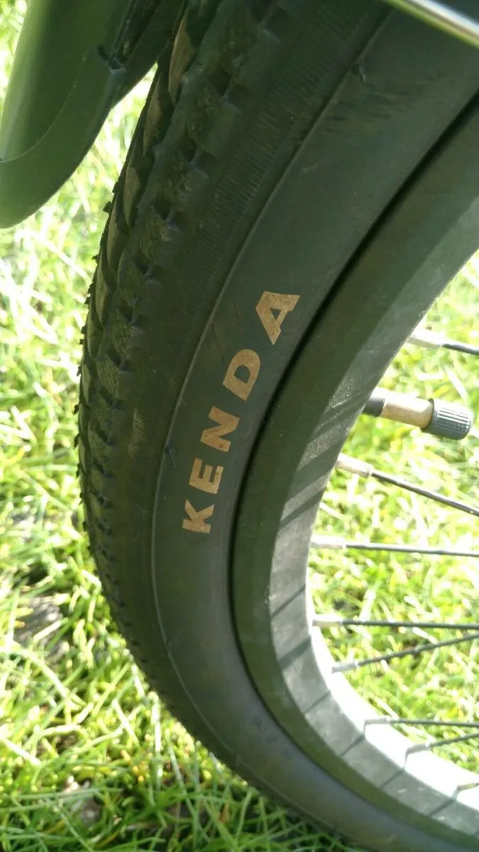 Electric bike - Image 2