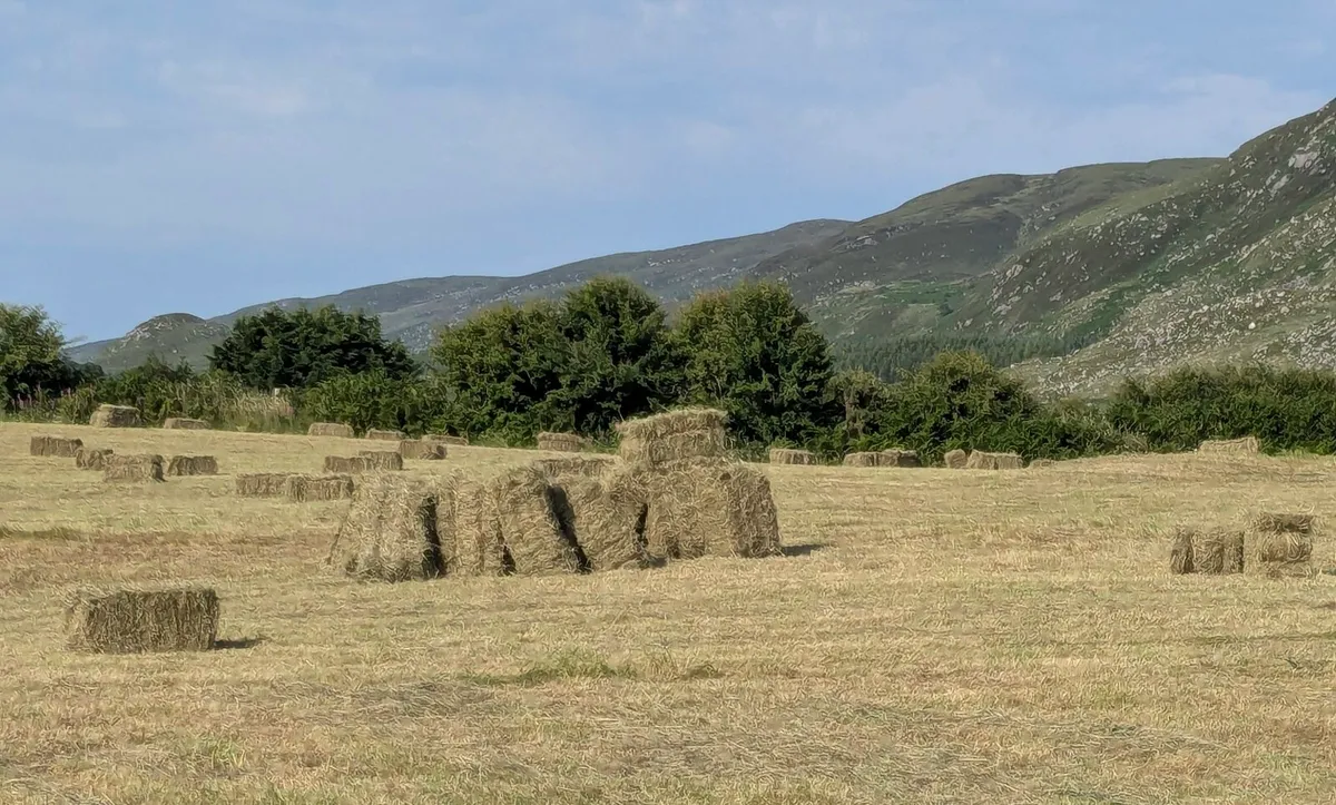 Organic Square Bales - Image 1