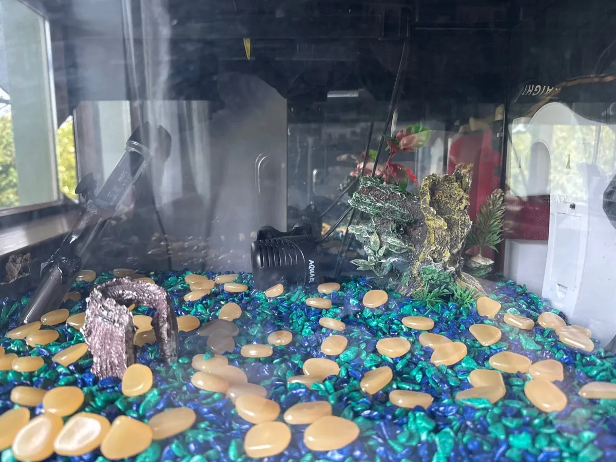 Fish tank with filter - Image 1