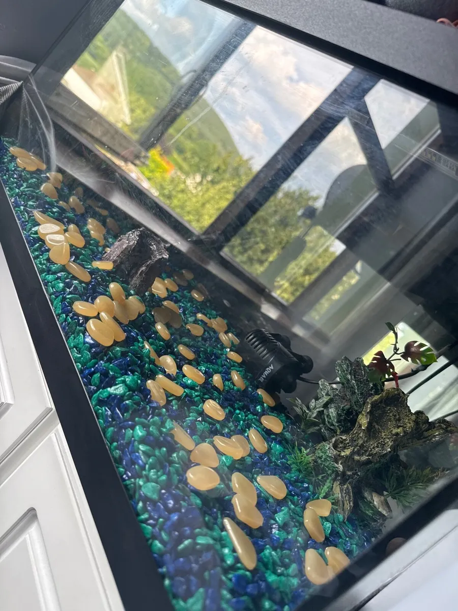 Fish tank with filter - Image 2