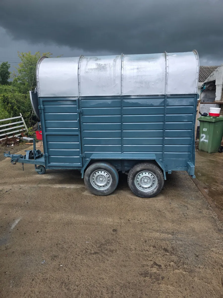 8ft Joyce 2 cow box - Image 3
