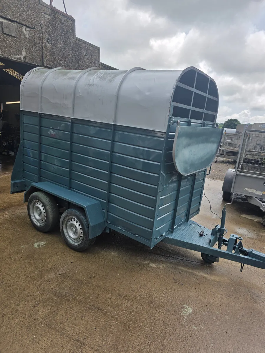 8ft Joyce 2 cow box - Image 4