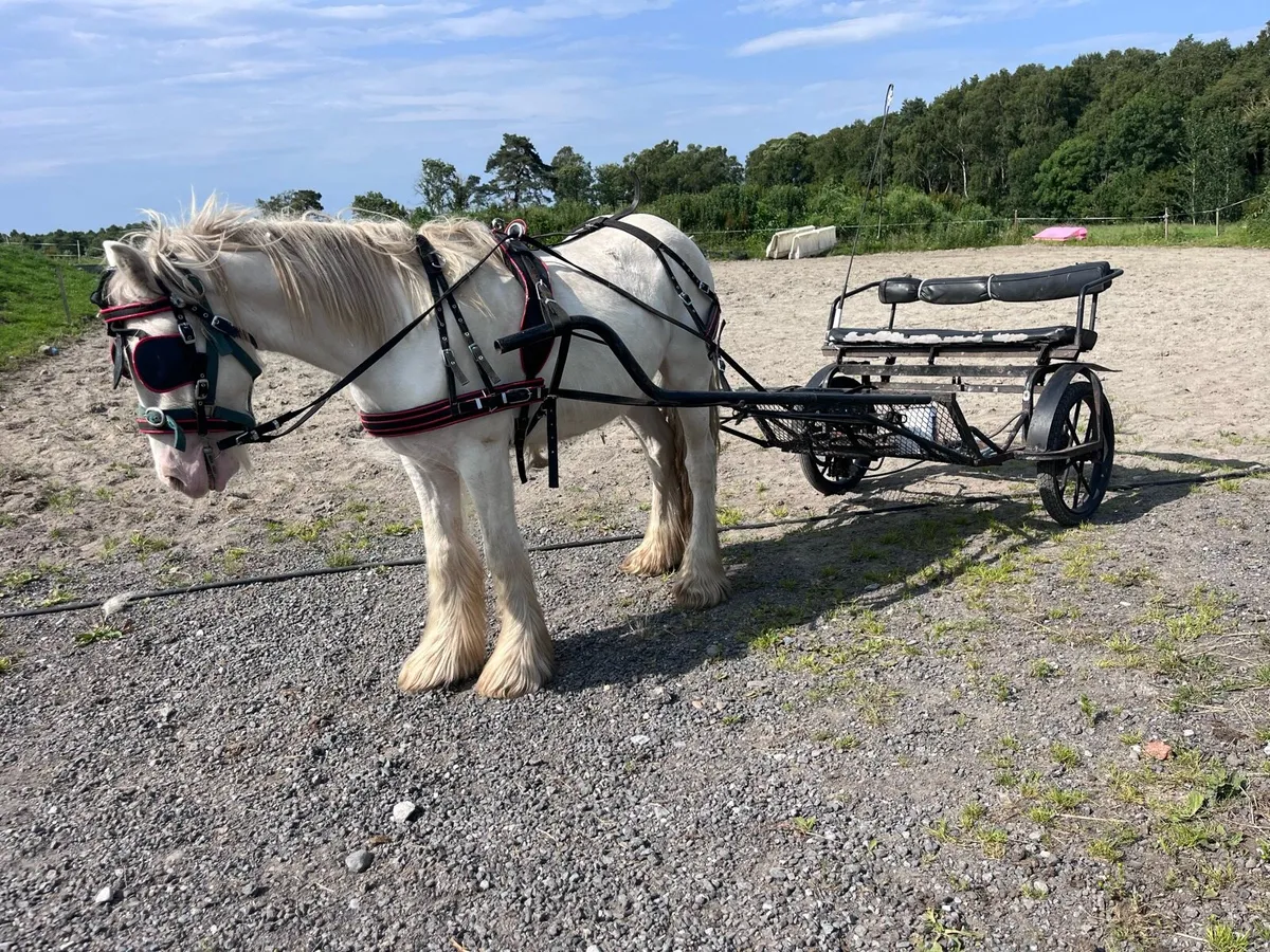 Ride and Drive - Image 1
