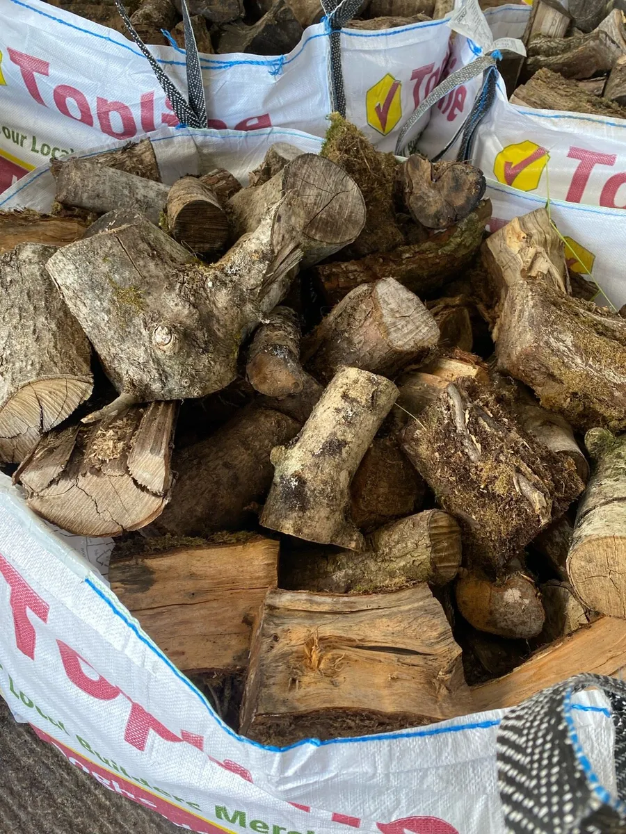 Ash Hardwood firewood - Image 3