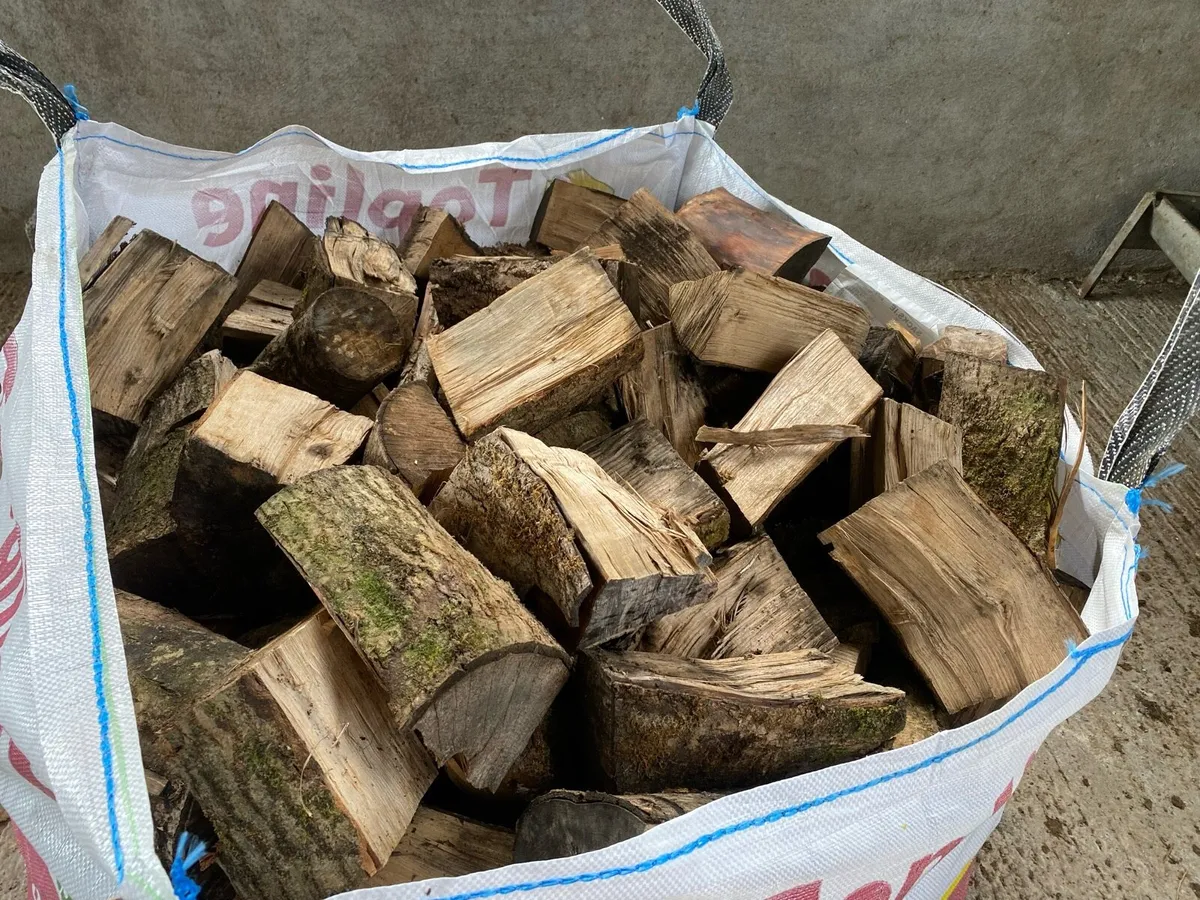 Ash Hardwood firewood - Image 1