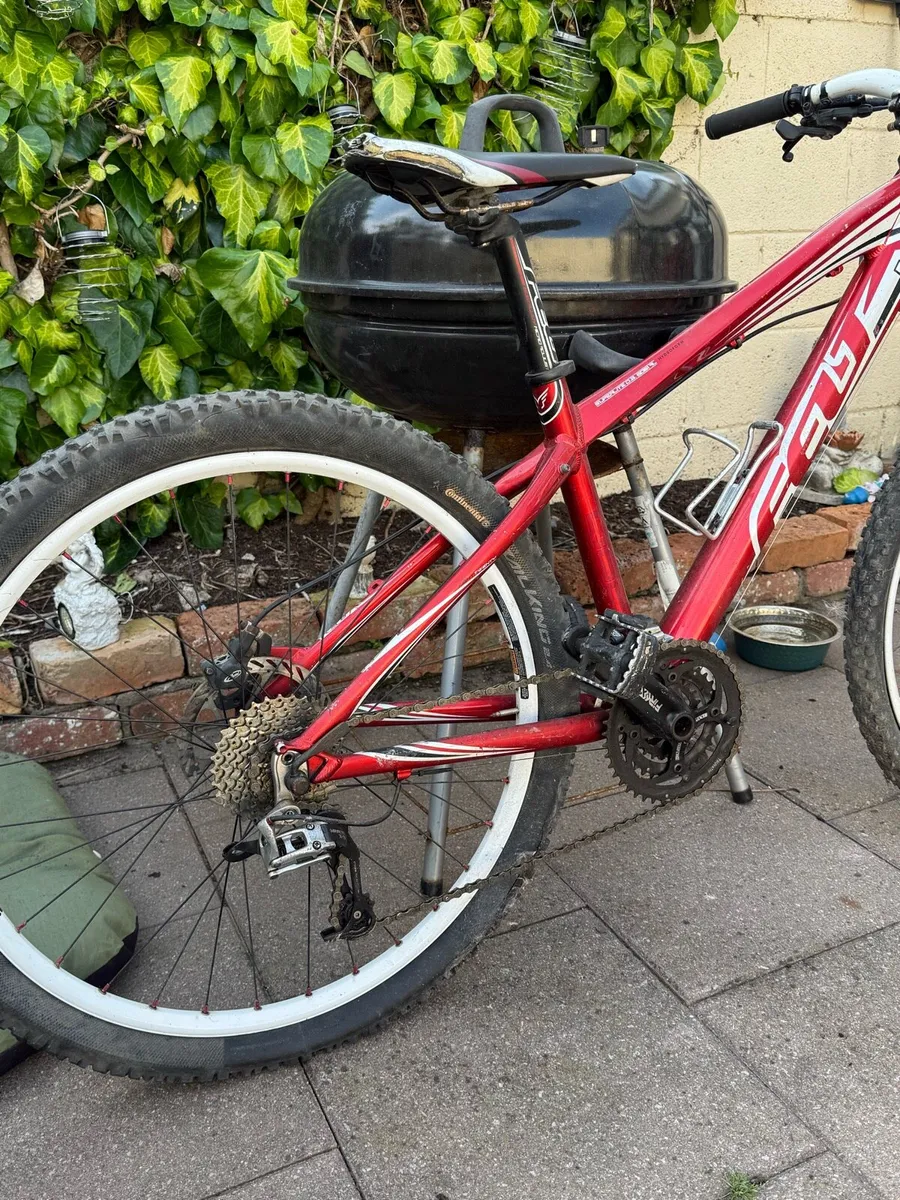 Felt Mountain Bike 15.5” - Image 2