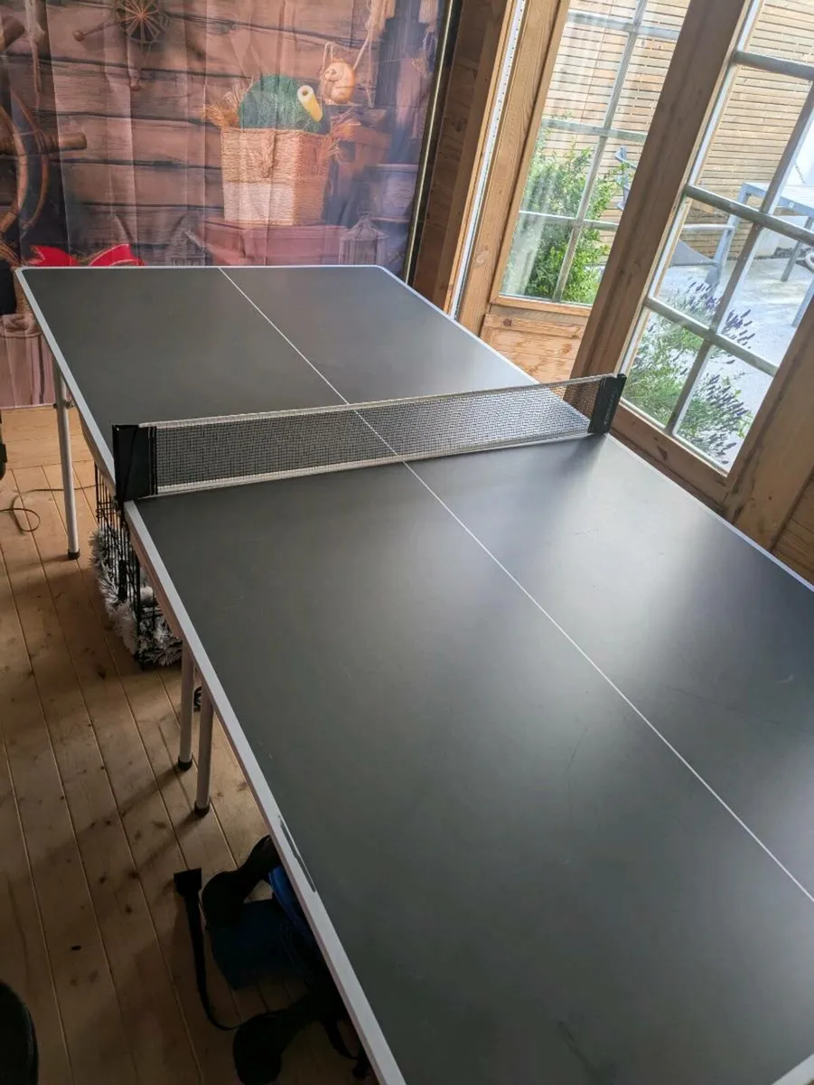 Medium Indoor Table Tennis - Image 1