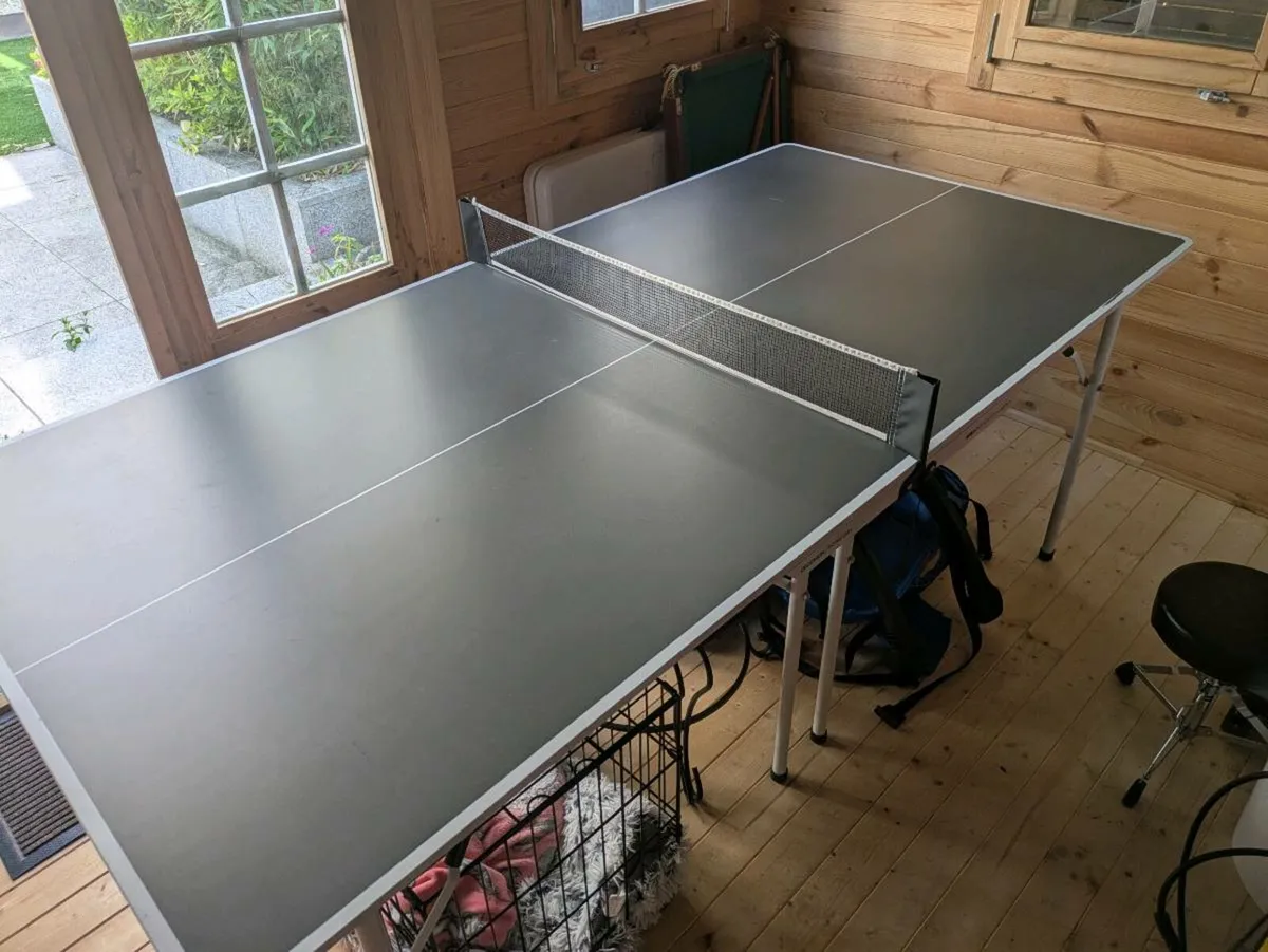 Medium Indoor Table Tennis - Image 2