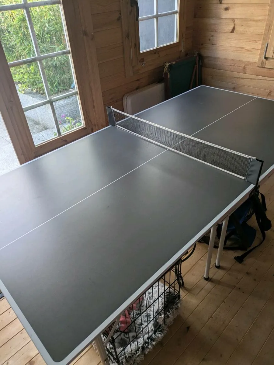 Medium Indoor Table Tennis - Image 3