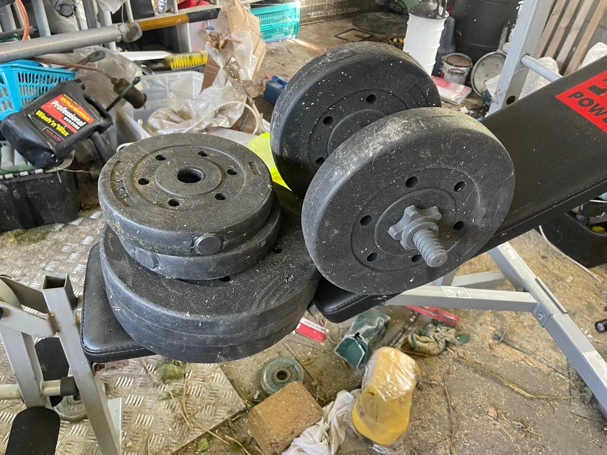 Gym bench + weights - Image 1