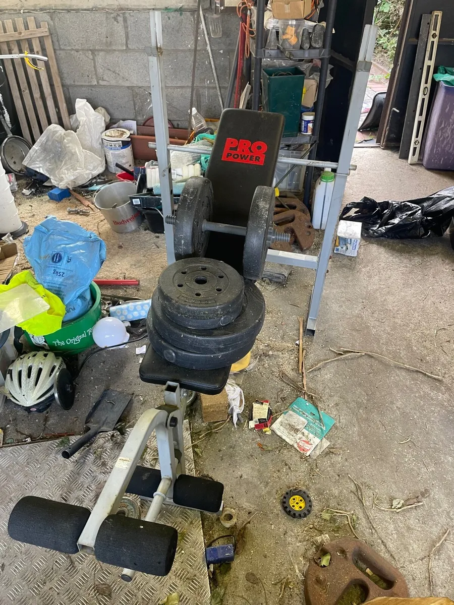 Gym bench + weights - Image 2