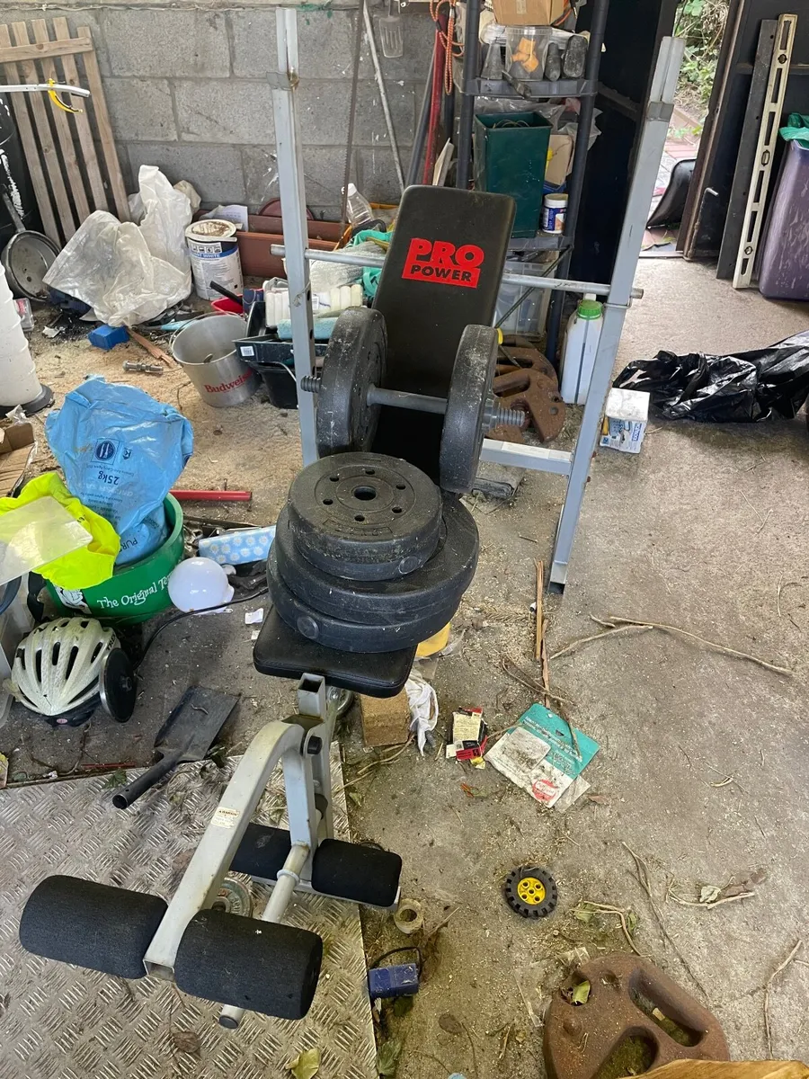 Gym bench + weights - Image 3