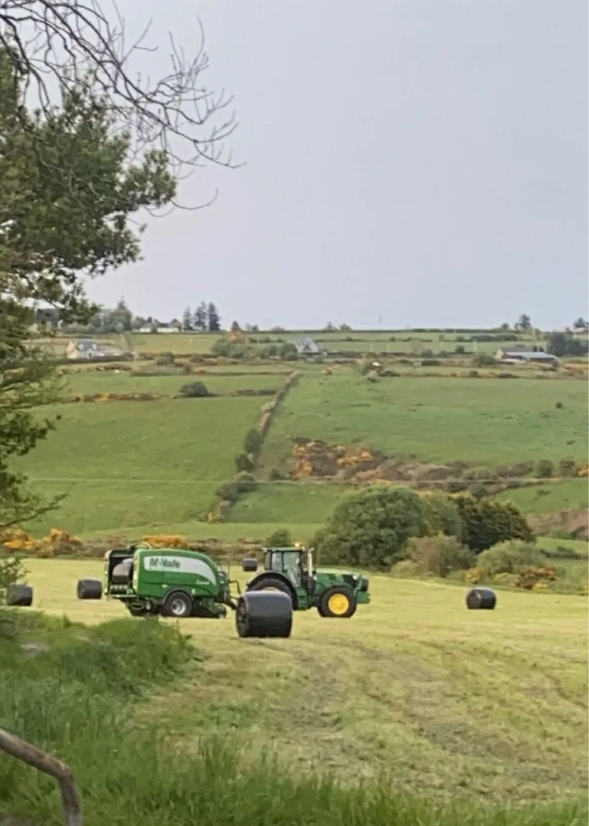 Bales of Haylage - Image 2