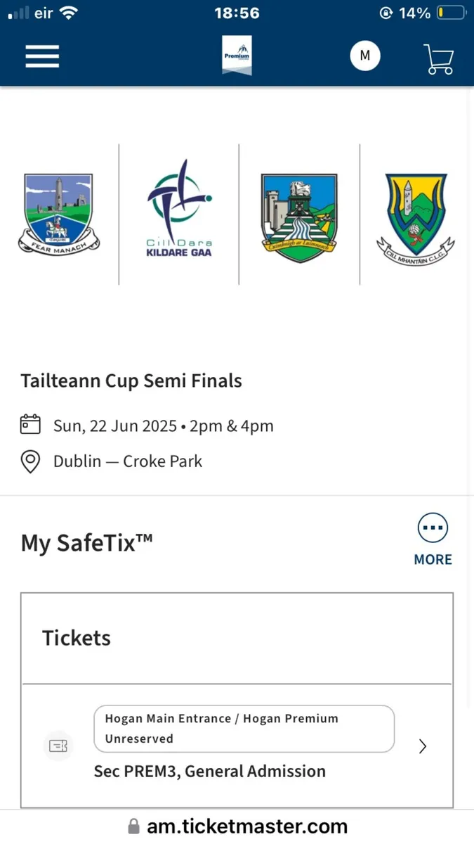 Tailteann cup semi finals