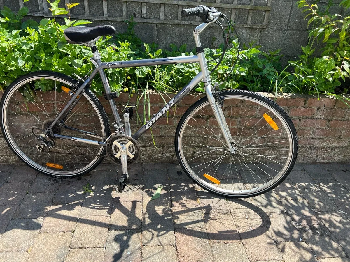Bicycle - Image 1