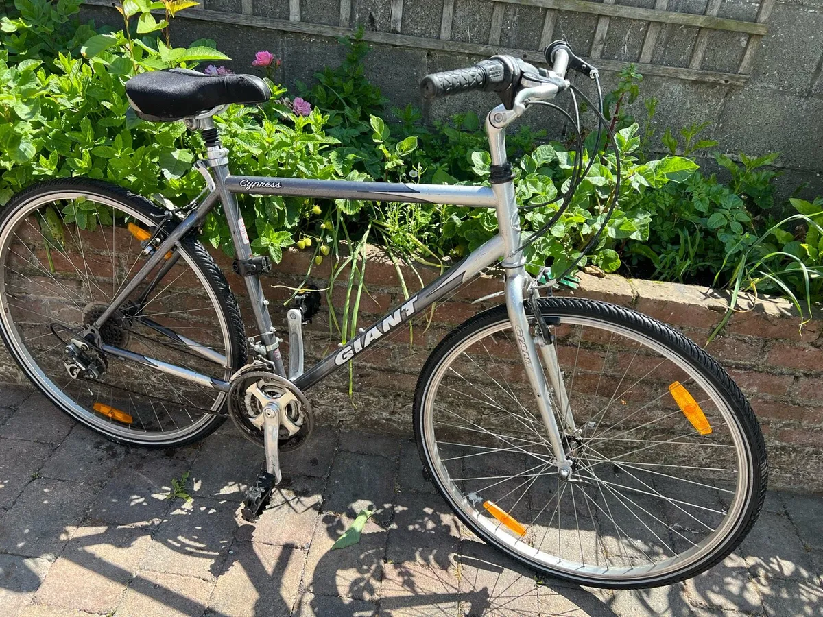 Bicycle - Image 4