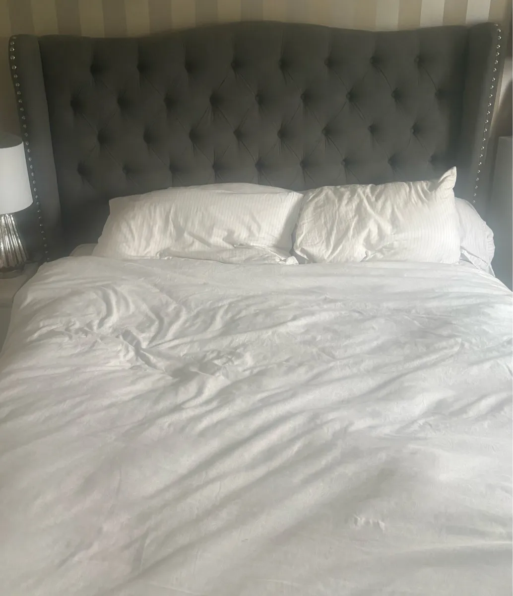 King Sized - Grey Velvet Upholstery EZ living - Image 1