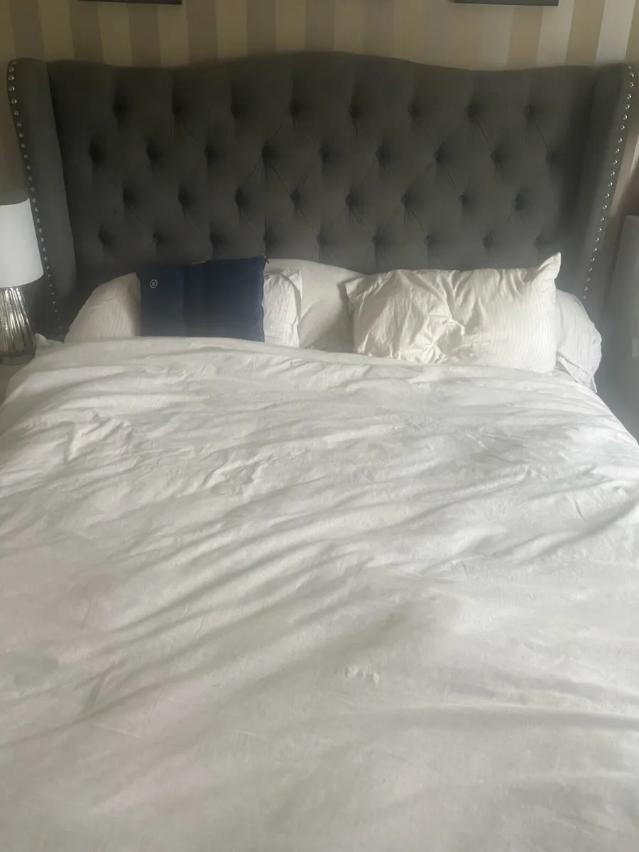 King Sized - Grey Velvet Upholstery EZ living - Image 3