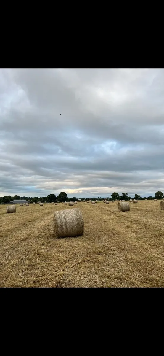 Hay bales - Image 3
