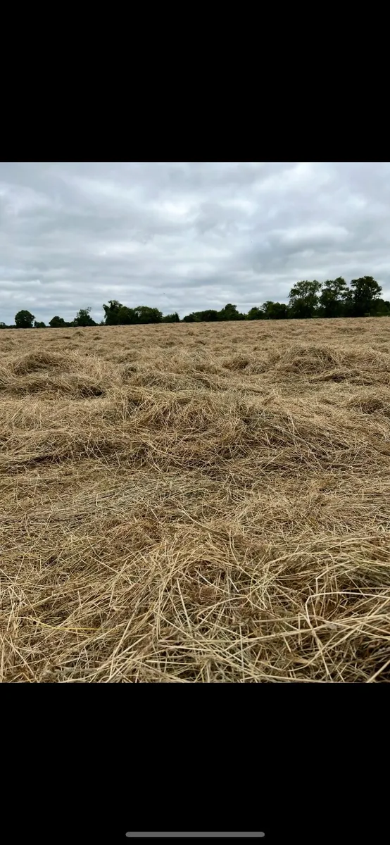 Hay bales - Image 4