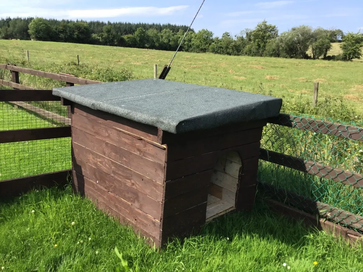Doghouse - Image 2