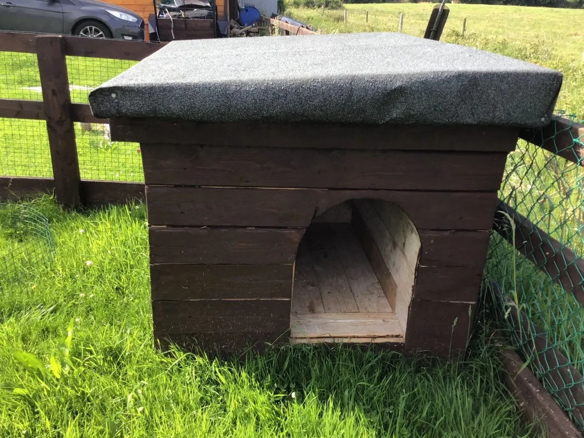Doghouse - Image 3