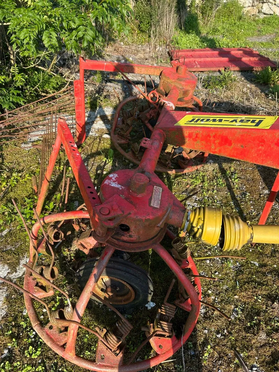Hay bob - Image 2