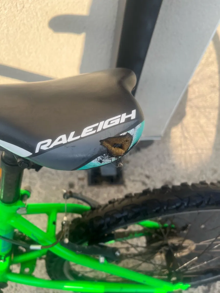 Bicycle - Image 4