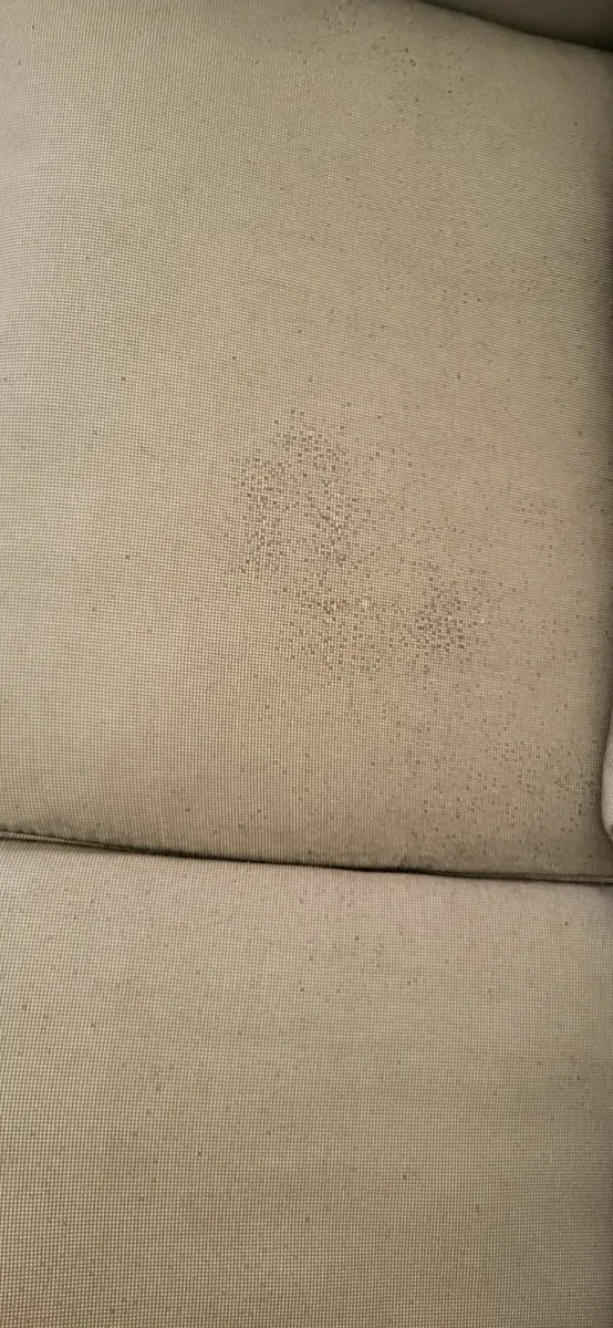 Sofa - Image 3