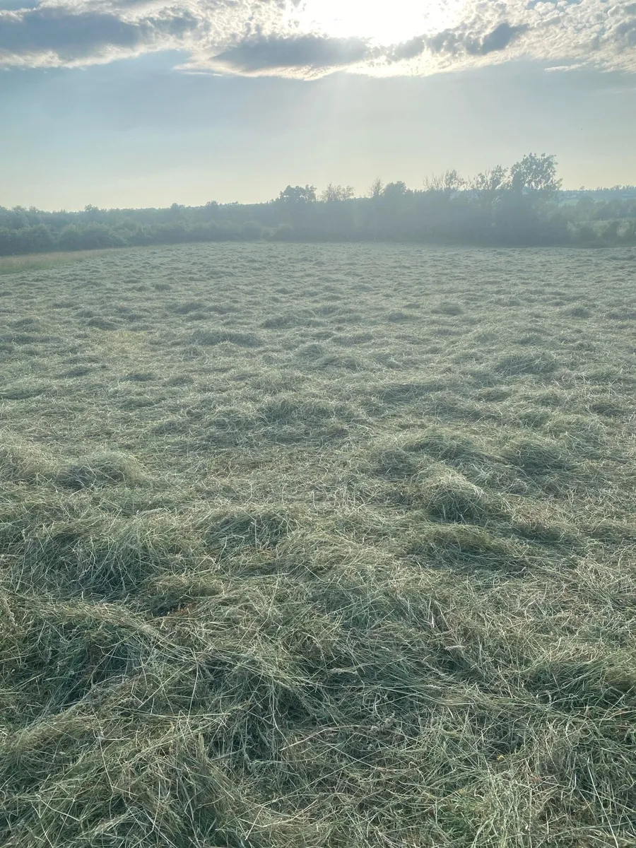 Small square bales