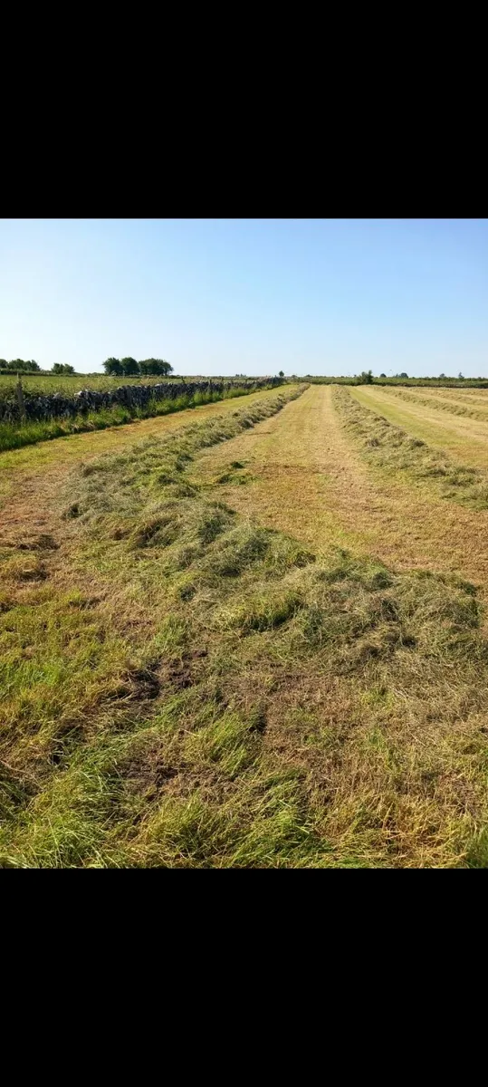 Silage bales - Image 1