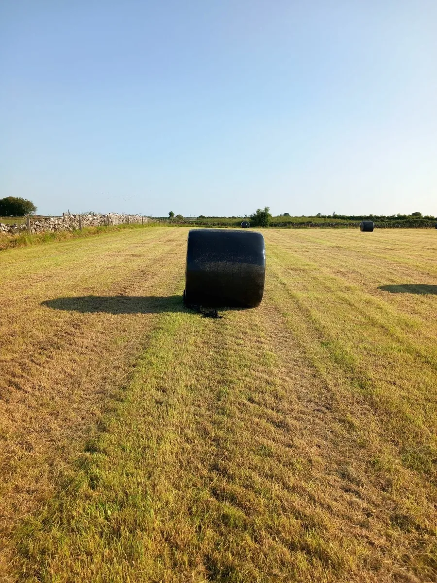 Silage bales - Image 2