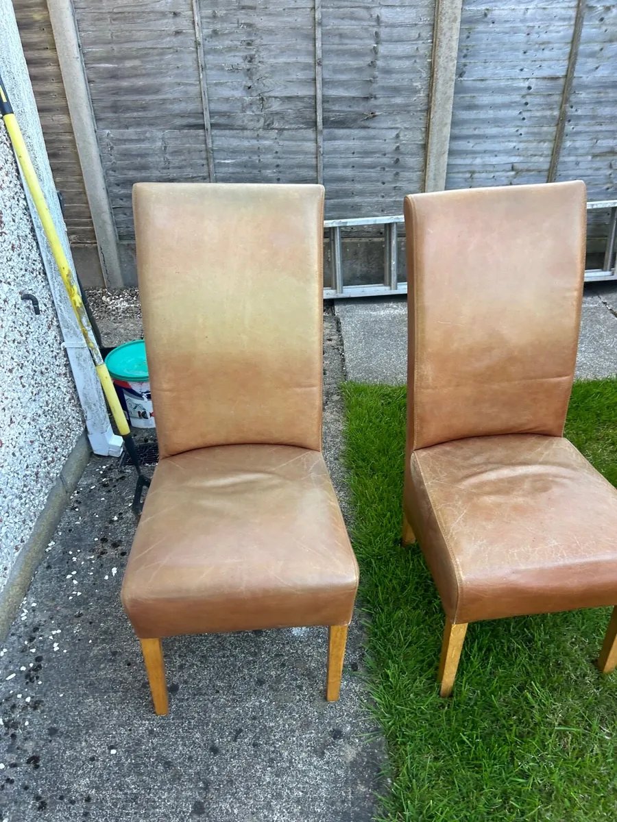 6 Tan leather chairs - Image 2