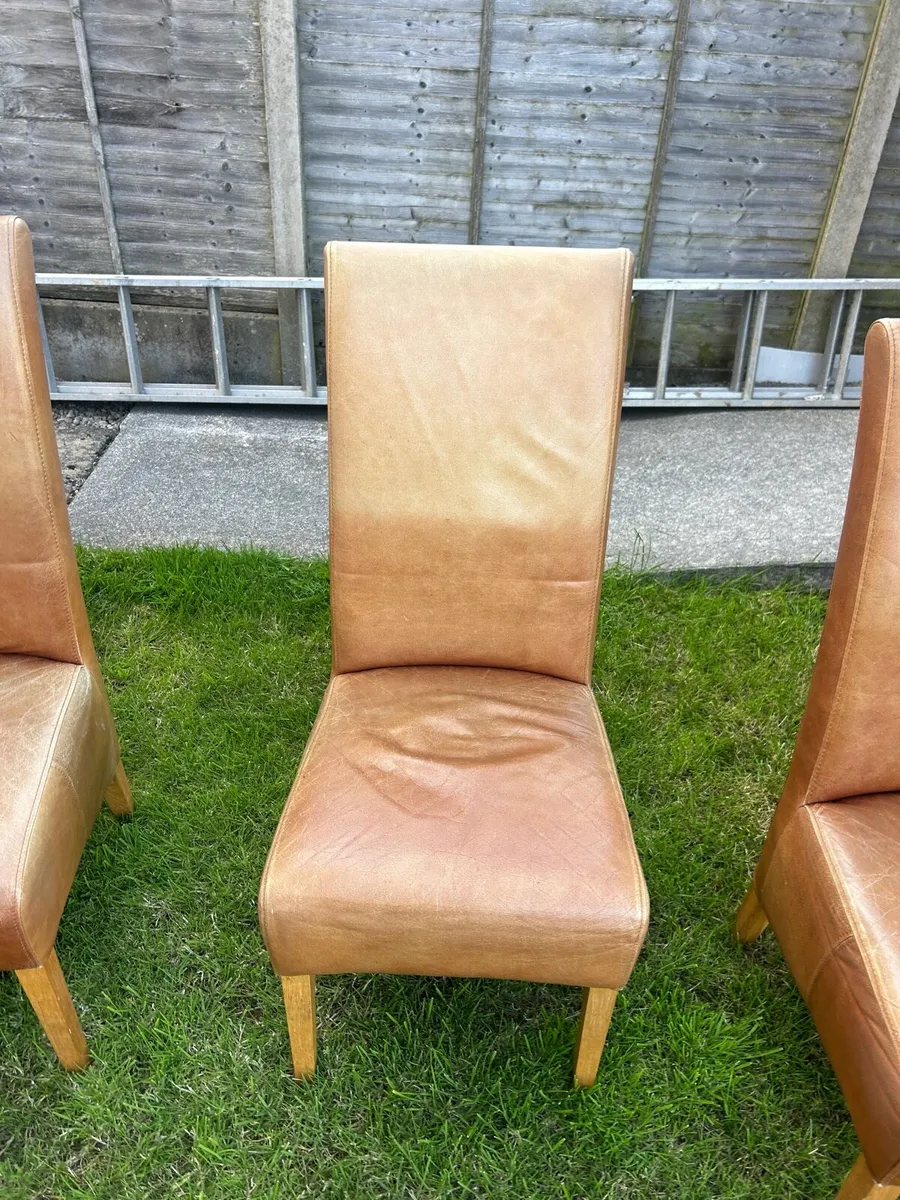 6 Tan leather chairs - Image 4