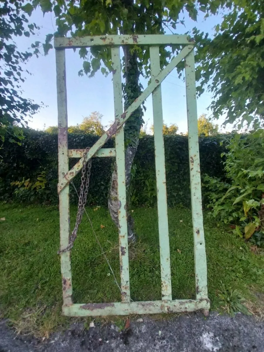 Blacksmith made Garden Gate - Image 3