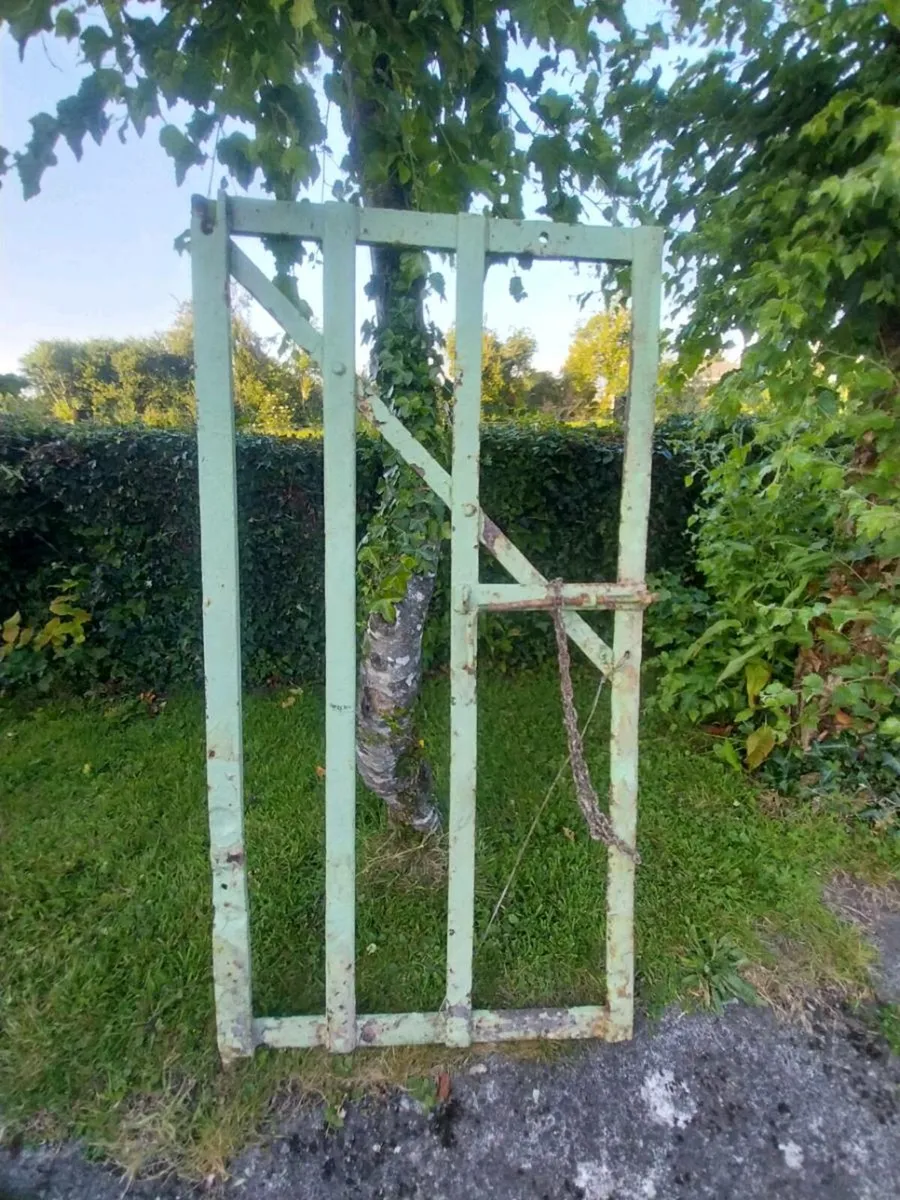 Blacksmith made Garden Gate - Image 4
