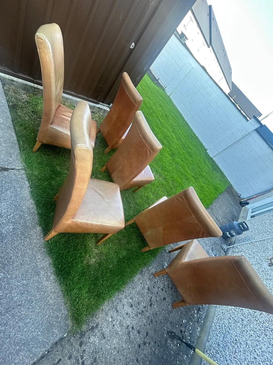 6 Tan leather chairs - Image 1