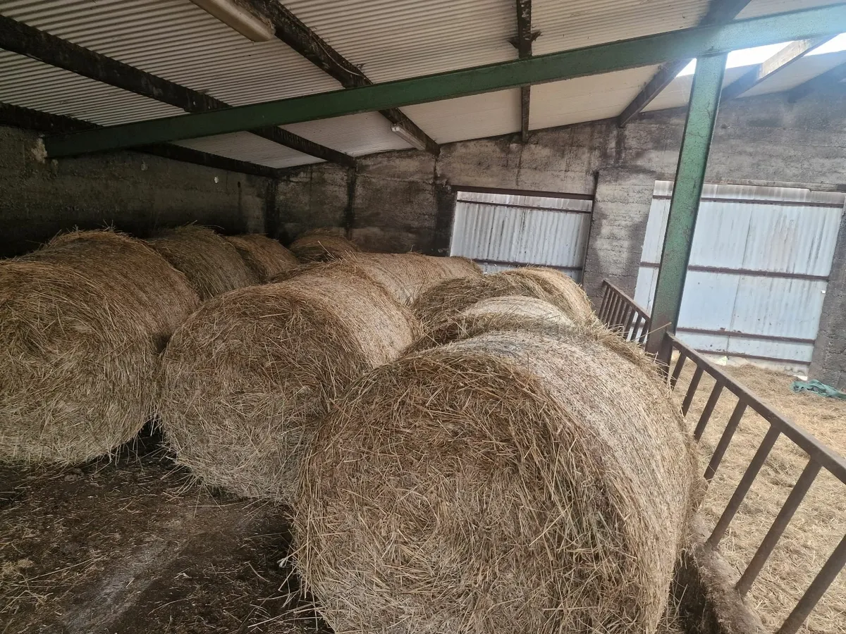 Bedding - Image 1