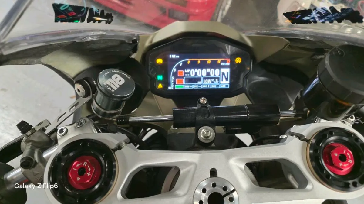Ductai Panigale 1299 Track/Race Bike - Image 3